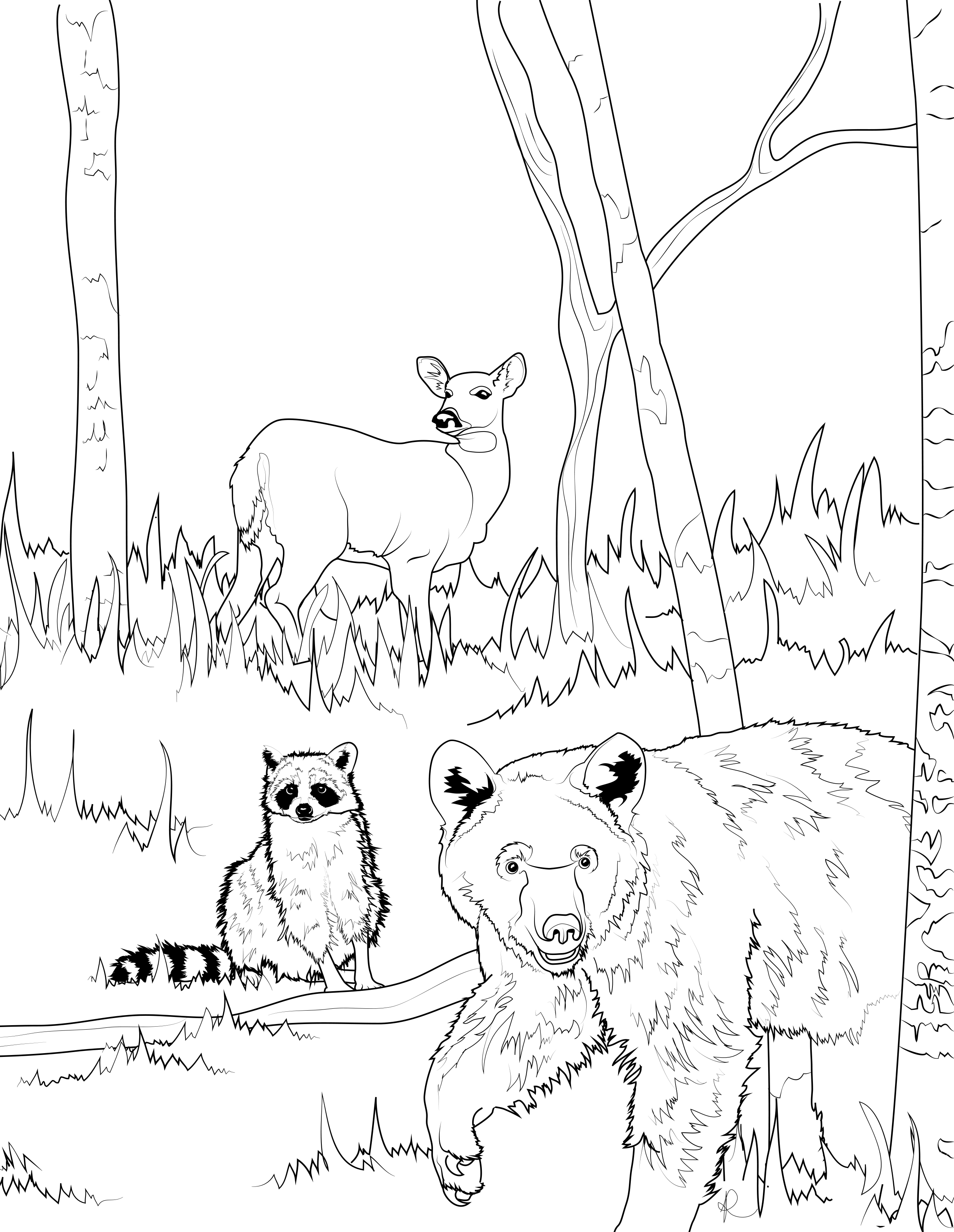 Download Four Legged Coloring Pages Frisco Native American Museum