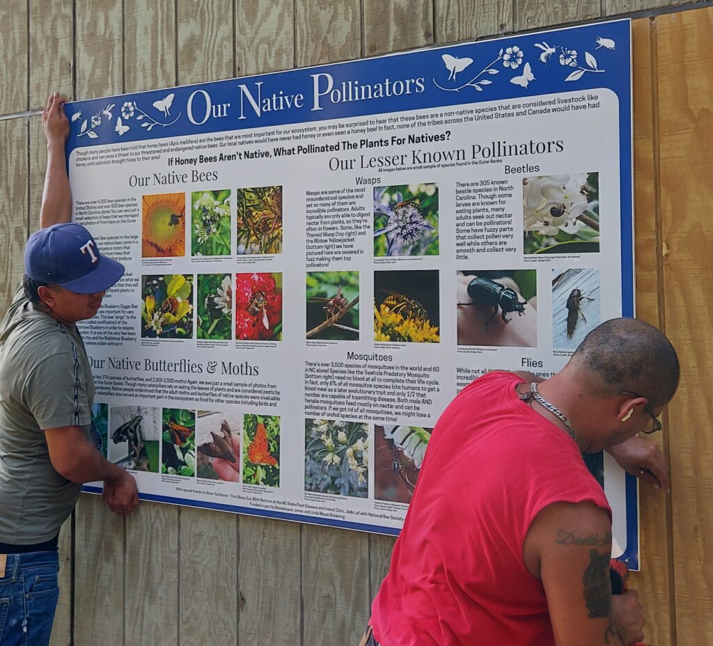 Our New Pollinator Sign! – Frisco Native American Museum